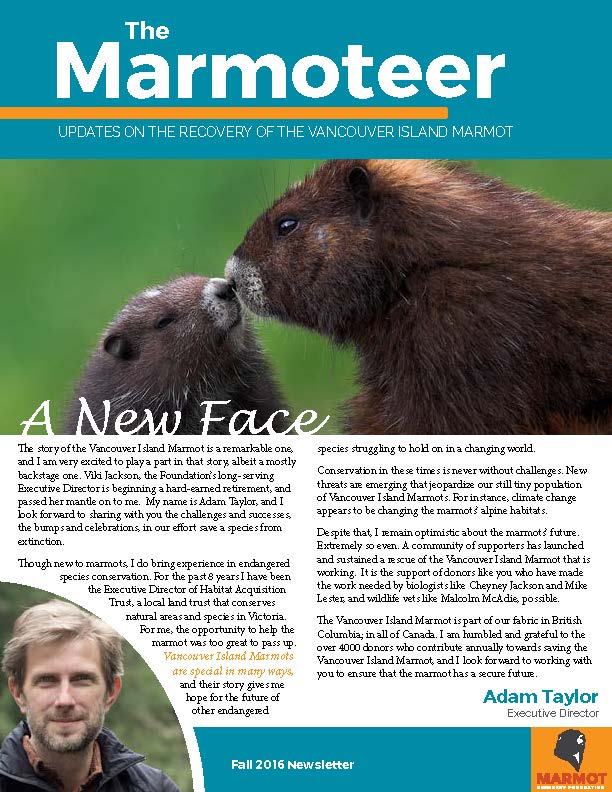 2016-marmoteer-web_page_1